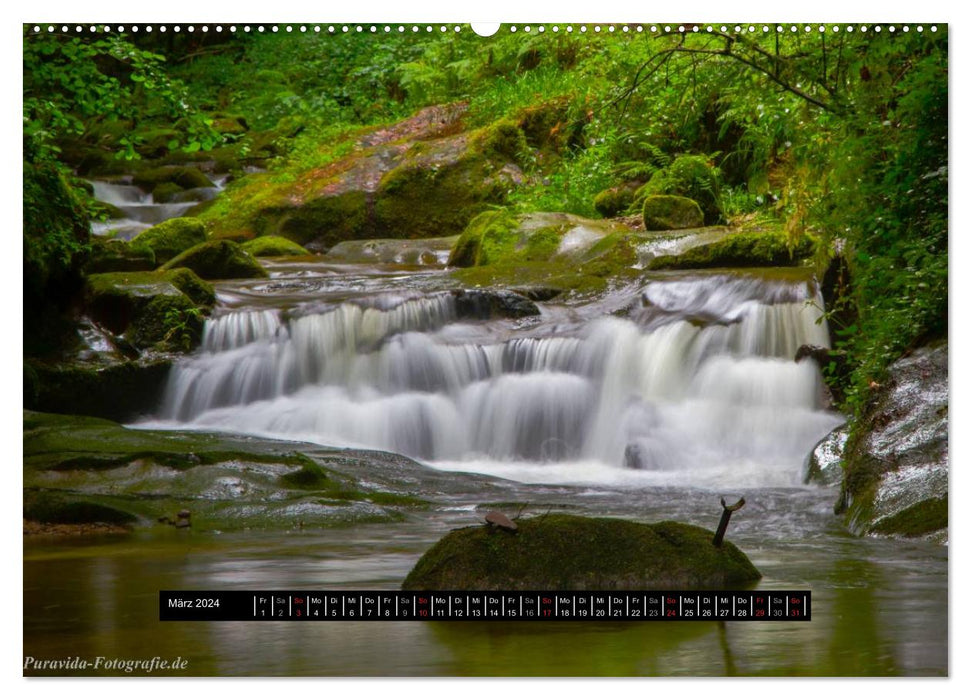 Streams, rivers, waterfalls - A Black Forest trip (CALVENDO Premium Wall Calendar 2024) 