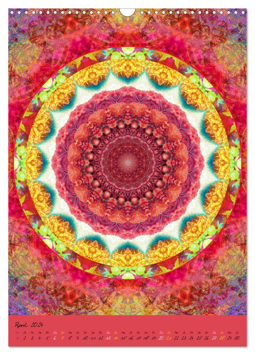 Mandala energies (CALVENDO wall calendar 2024) 