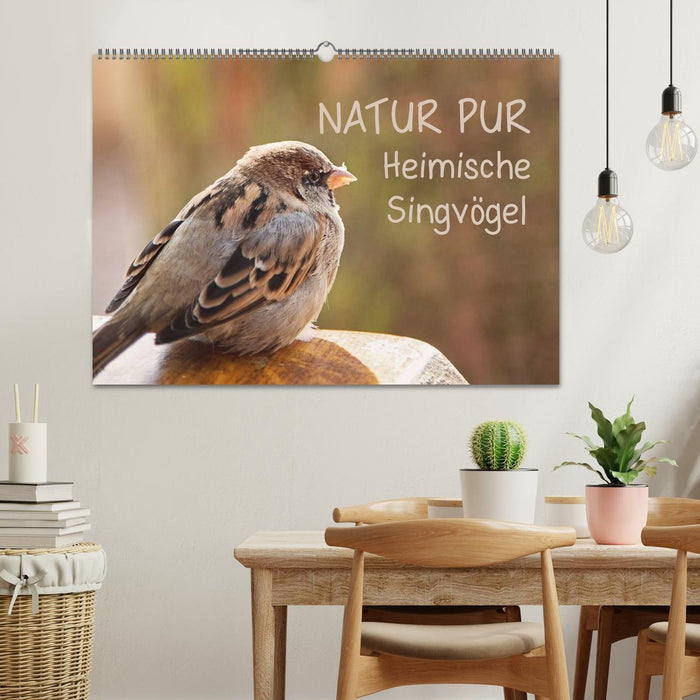 PURE NATURE Oiseaux chanteurs locaux (Calendrier mural CALVENDO 2024) 