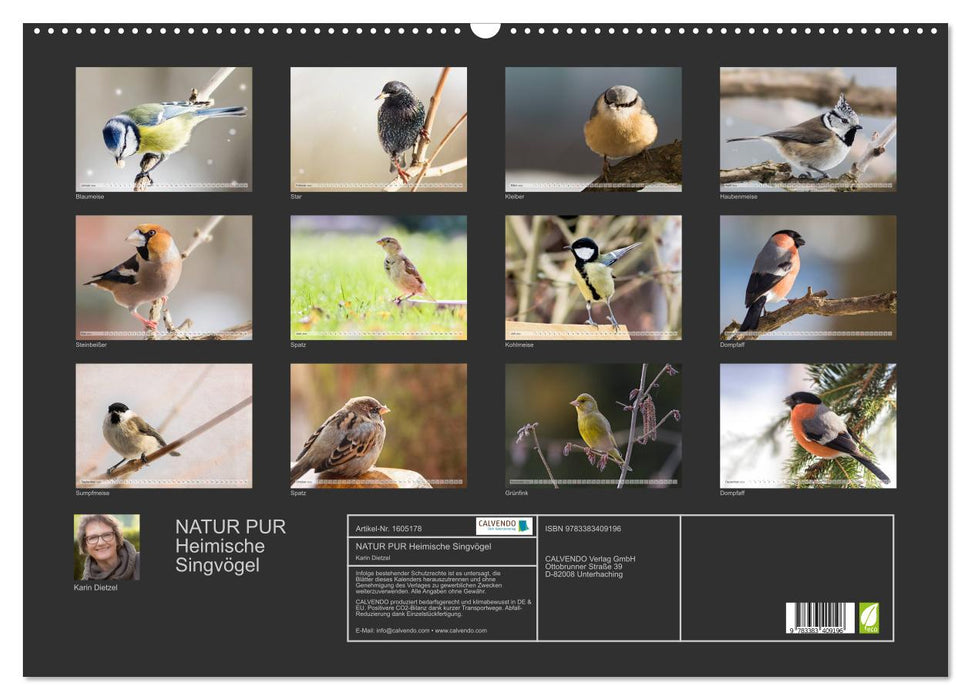 PURE NATURE Oiseaux chanteurs locaux (Calendrier mural CALVENDO 2024) 