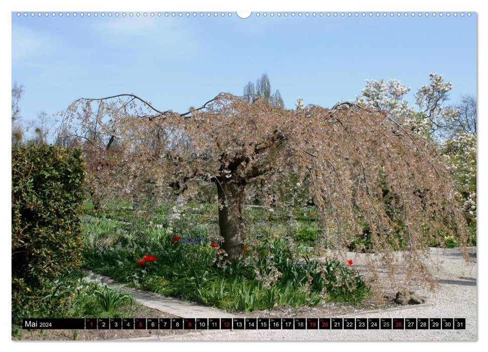 Hannovers prachtvolle Gärten (CALVENDO Premium Wandkalender 2024)