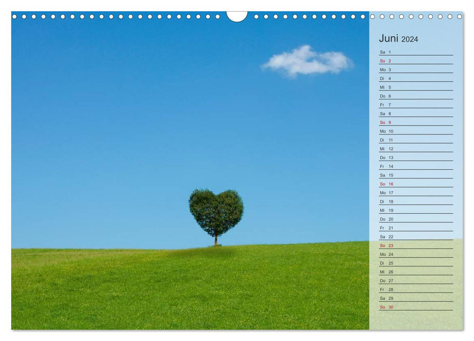 Days from the heart (CALVENDO wall calendar 2024) 
