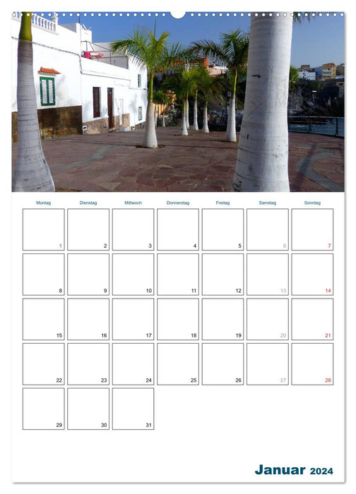 Holidays in the Canary Islands - Tenerife (CALVENDO Premium Wall Calendar 2024) 