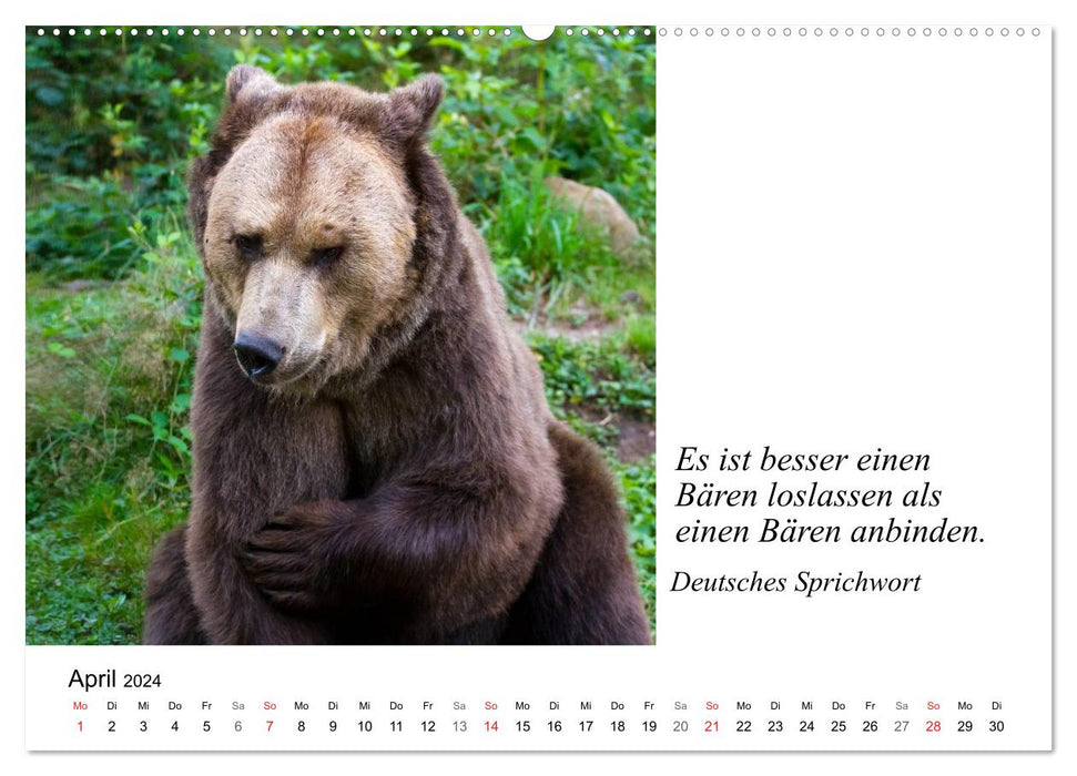 Animal wisdom (CALVENDO wall calendar 2024) 