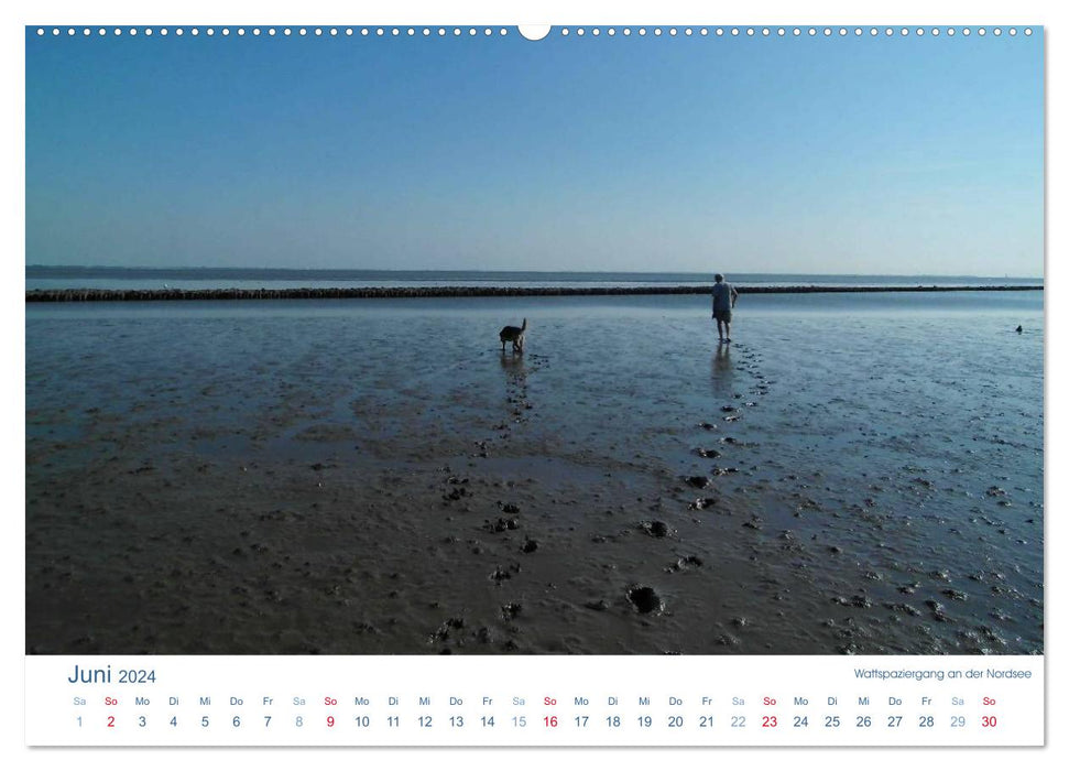 Ebbe und Watt 2024. Impressionen von der Nordseeküste (CALVENDO Premium Wandkalender 2024)