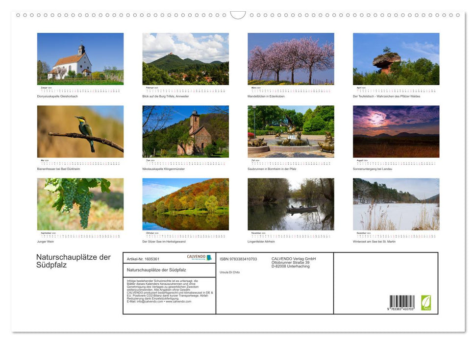 Natural sites in the Southern Palatinate (CALVENDO wall calendar 2024) 