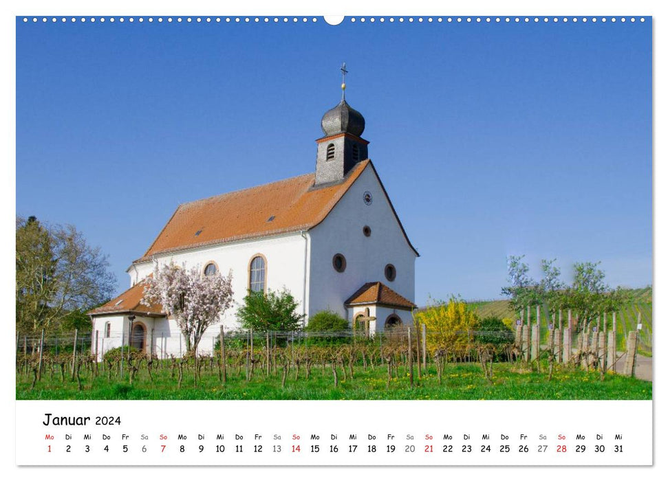 Naturschauplätze der Südpfalz (CALVENDO Wandkalender 2024)
