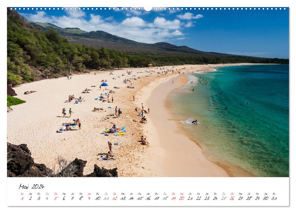 Beaches of the World (CALVENDO Wall Calendar 2024) 