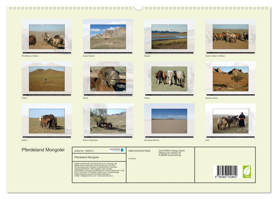 Horse Country Mongolie (Calvendo Premium Calendrier mural 2024) 