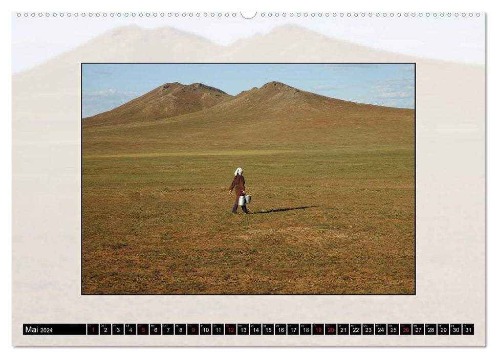 Pferdeland Mongolei (CALVENDO Premium Wandkalender 2024)
