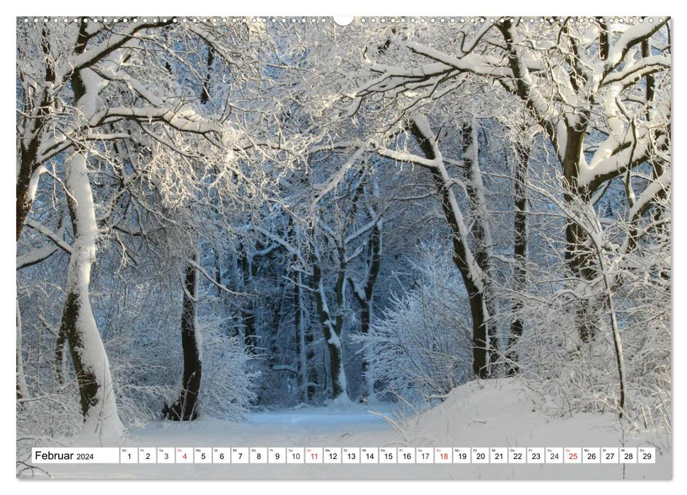 Winter fairy tale landscapes in the snow (CALVENDO Premium Wall Calendar 2024) 