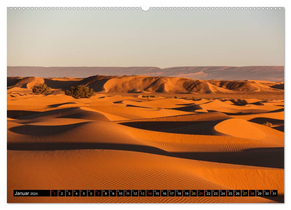 Dunes de sable. Diamants du désert (Calendrier mural CALVENDO 2024) 