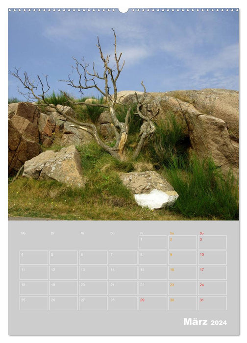 Bornholm - L'île ensoleillée du Danemark (Calvendo Premium Wall Calendar 2024) 