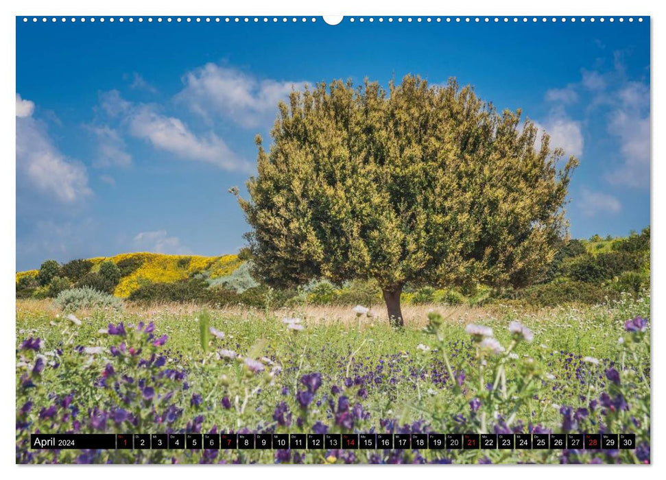 Sizilien im Frühling (CALVENDO Premium Wandkalender 2024)
