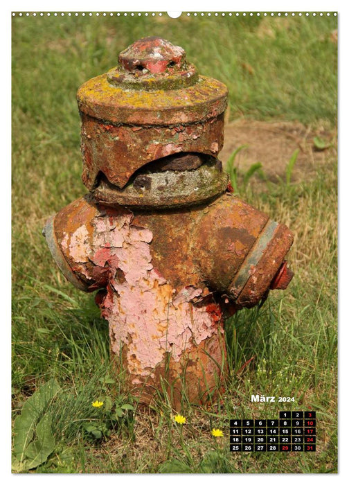 Nostalgie Hydranten (CALVENDO Premium Wandkalender 2024)