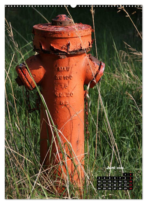 Nostalgic fire hydrants (CALVENDO Premium wall calendar 2024) 