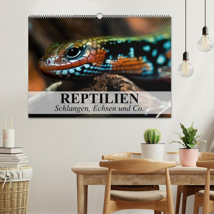 Reptilien Schlangen, Echsen und Co. (CALVENDO Wandkalender 2024)