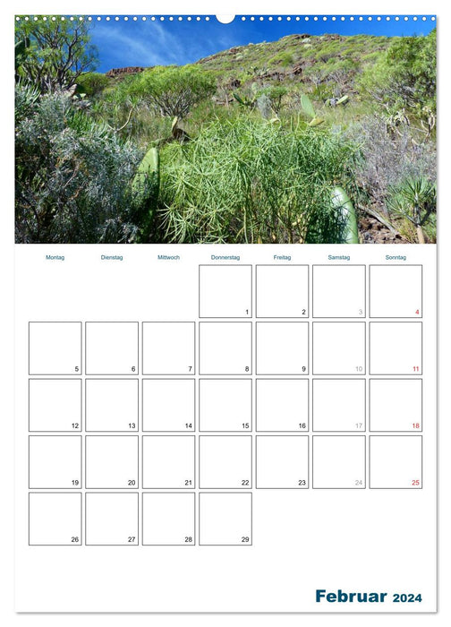 Holidays in the Canary Islands - Tenerife (CALVENDO wall calendar 2024) 