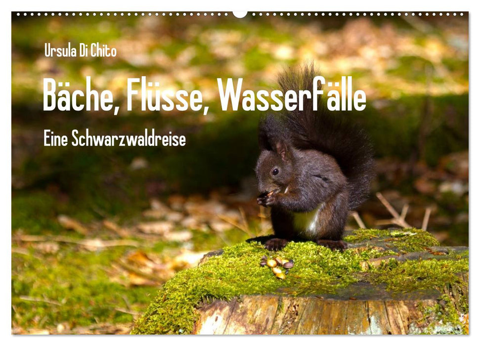 Bäche, Flüsse, Wasserfälle - Eine Schwarzwaldreise (CALVENDO Wandkalender 2024)