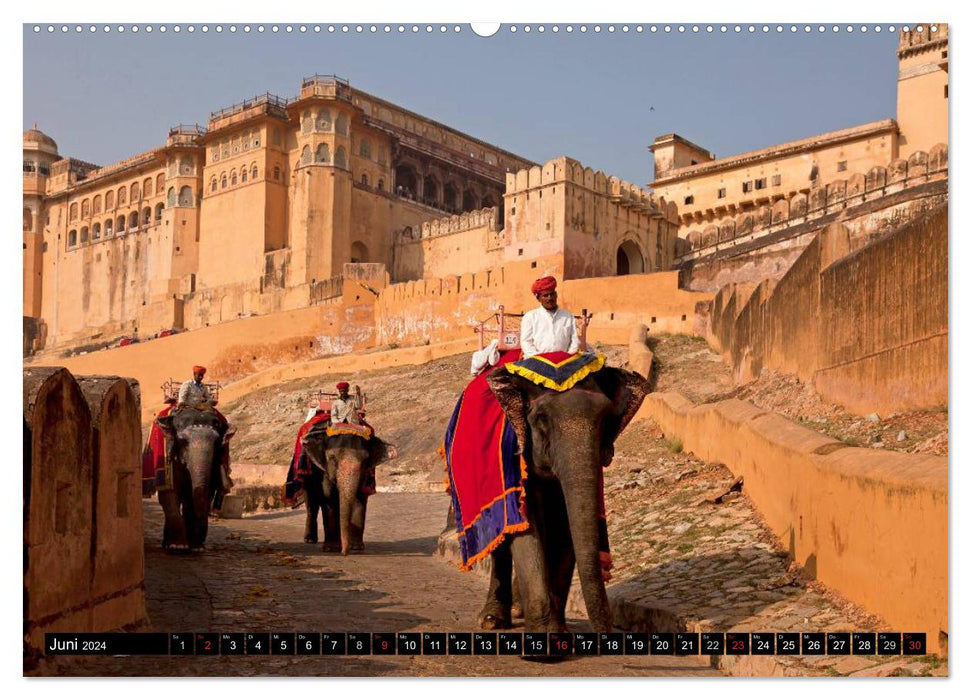 Inde - Rajasthan (Calvendo Premium Calendrier mural 2024) 