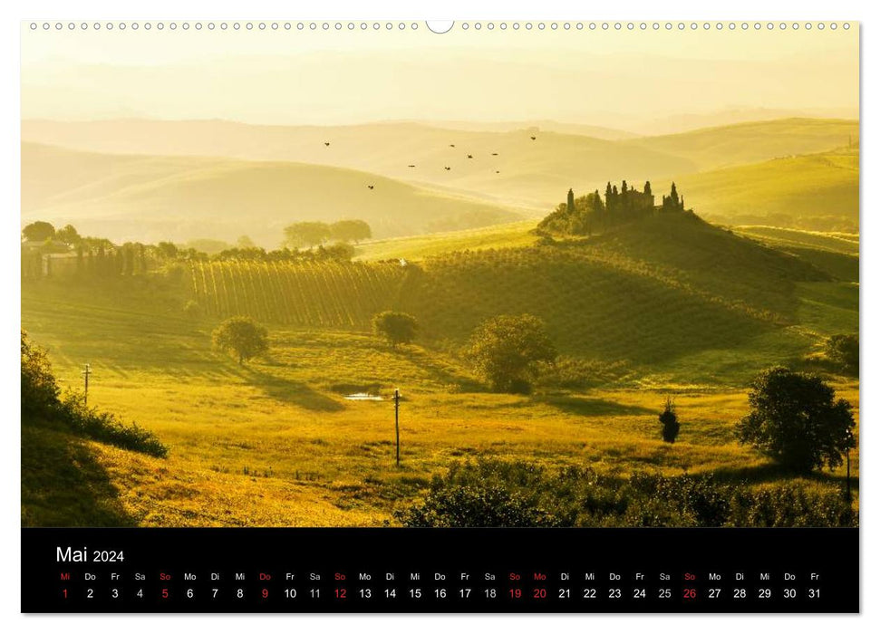 Ein Jahr in 12 Bildern (CALVENDO Premium Wandkalender 2024)