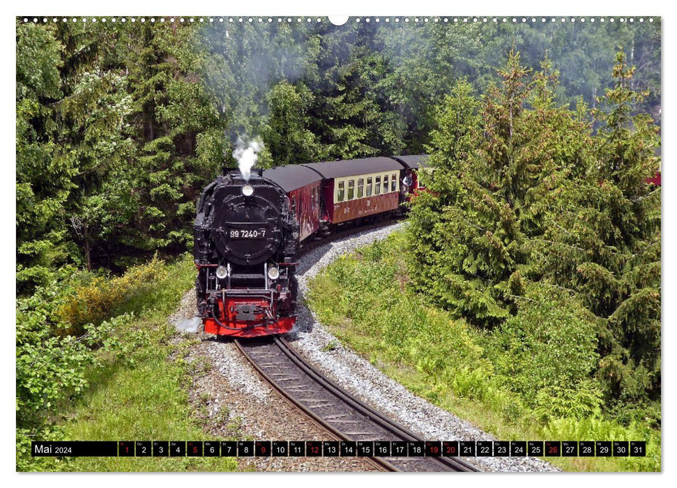 Moments de vapeur du Harz (calendrier mural CALVENDO 2024) 