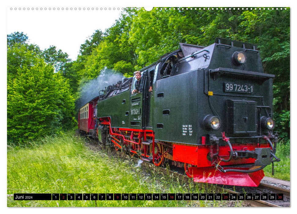 Moments de vapeur du Harz (calendrier mural CALVENDO 2024) 