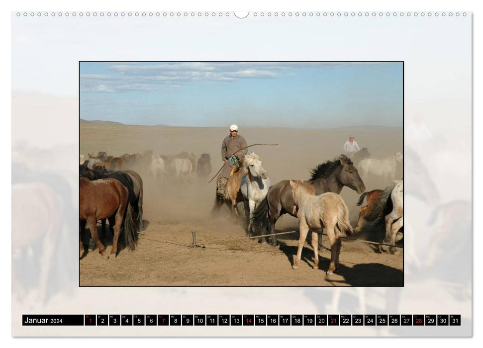 Horse country Mongolia (CALVENDO wall calendar 2024) 