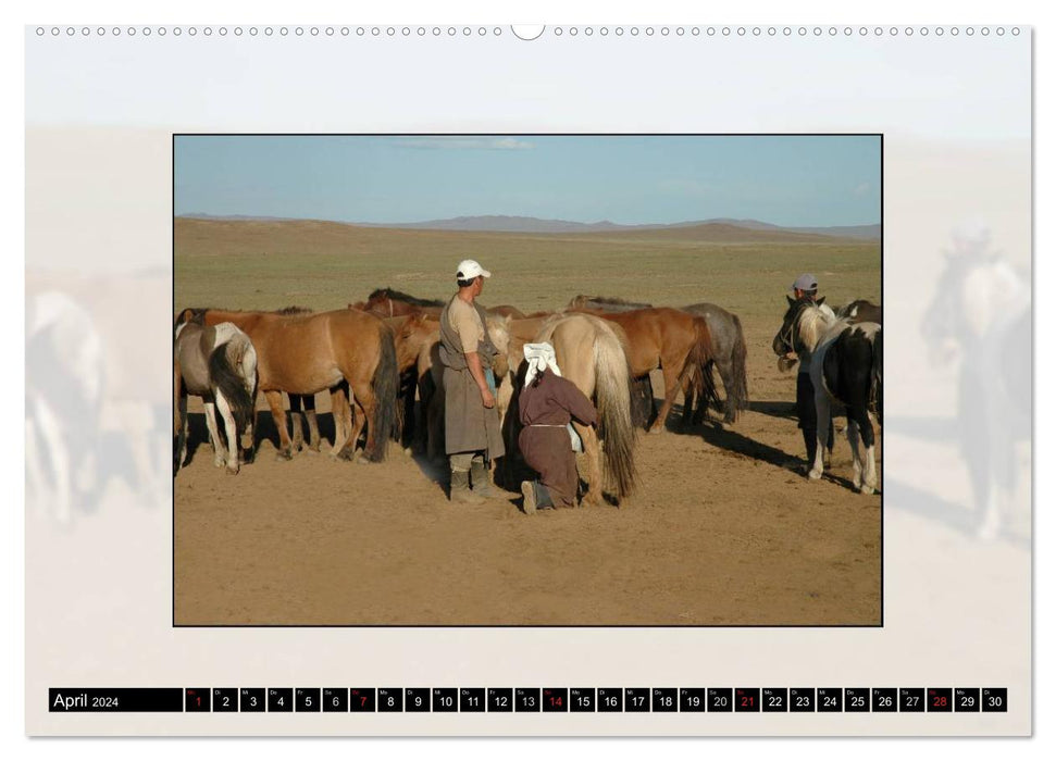Pays du cheval Mongolie (calendrier mural CALVENDO 2024) 