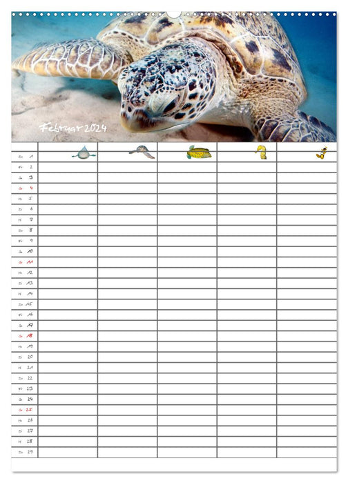 Le planning familial sous-marin 2024 (Calvendo Premium Wall Calendar 2024) 