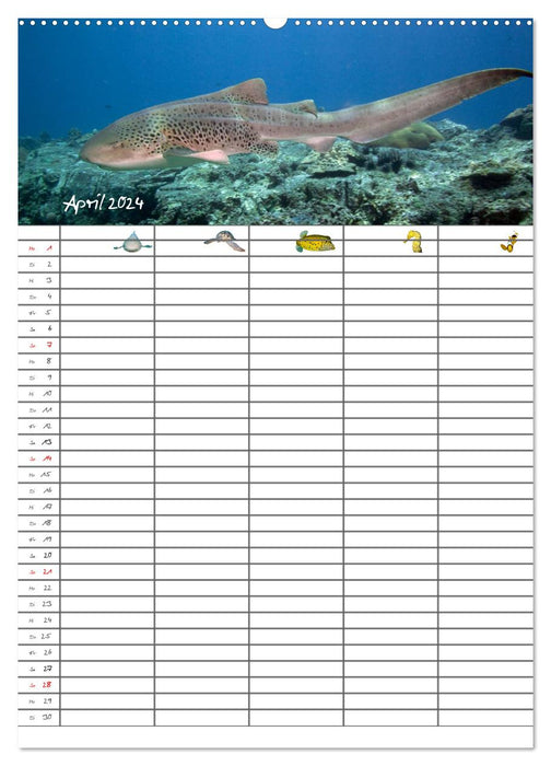 Le planning familial sous-marin 2024 (Calvendo Premium Wall Calendar 2024) 