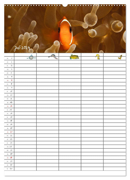 The underwater family planner 2024 (CALVENDO Premium Wall Calendar 2024) 