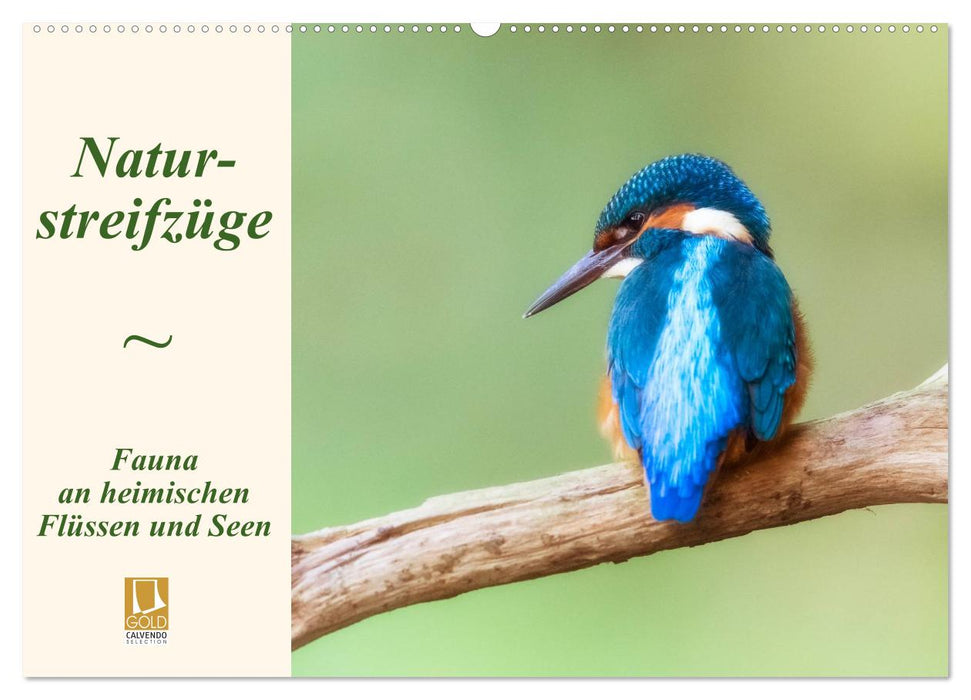 Nature forays. Fauna on local rivers and lakes (CALVENDO wall calendar 2024) 