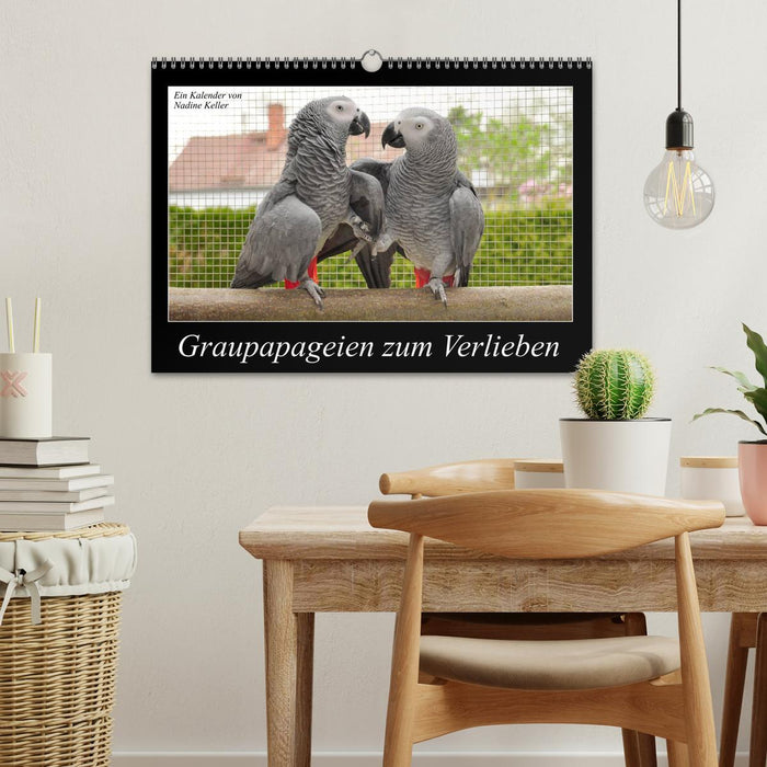 African gray parrots to fall in love with (CALVENDO wall calendar 2024) 