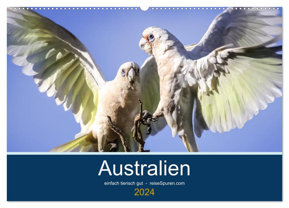 Australia - simply incredibly good (CALVENDO wall calendar 2024) 