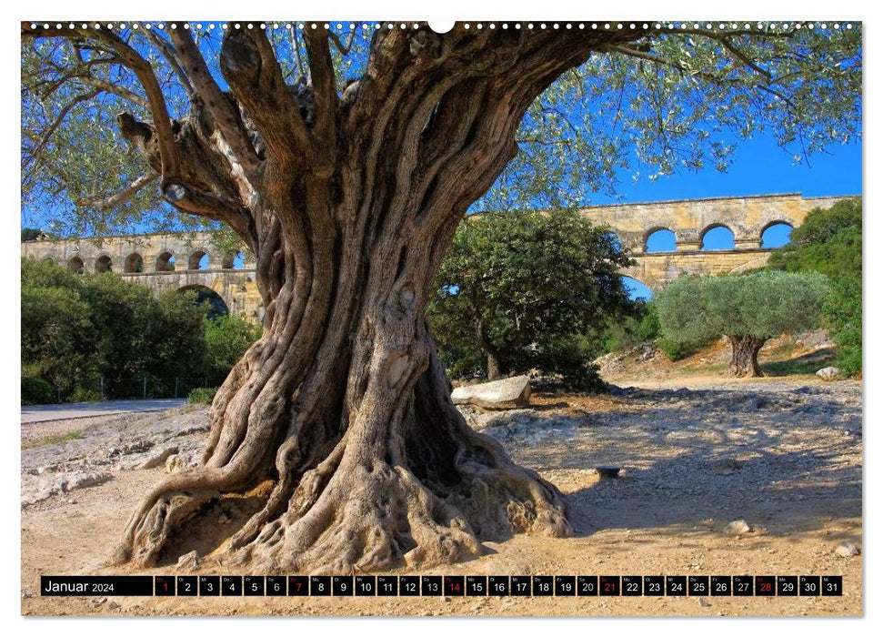 Enchanting Provence (CALVENDO wall calendar 2024) 