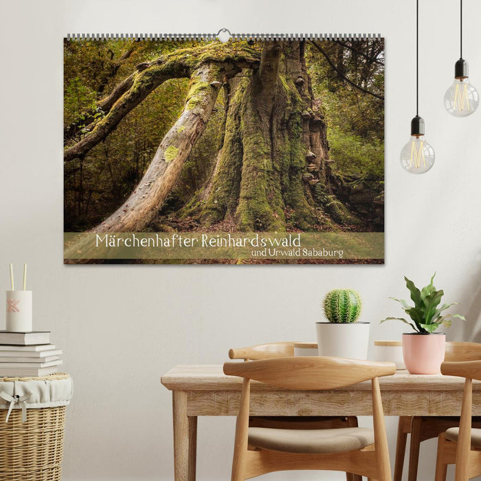 Fairytale Reinhardswald and Sababurg jungle (CALVENDO wall calendar 2024) 