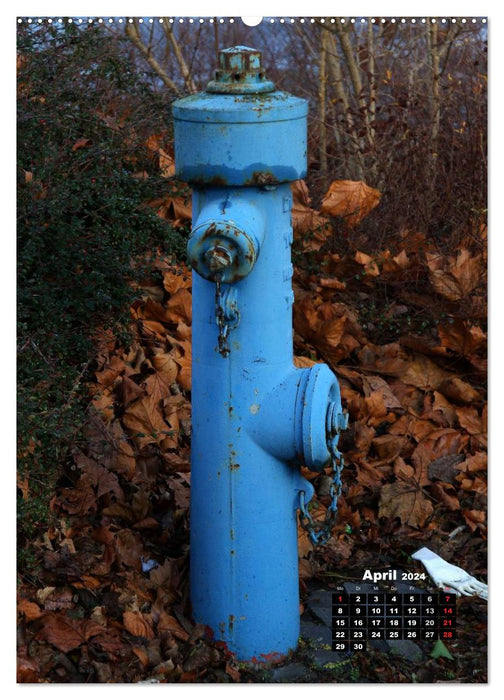 Nostalgic fire hydrants (CALVENDO wall calendar 2024) 