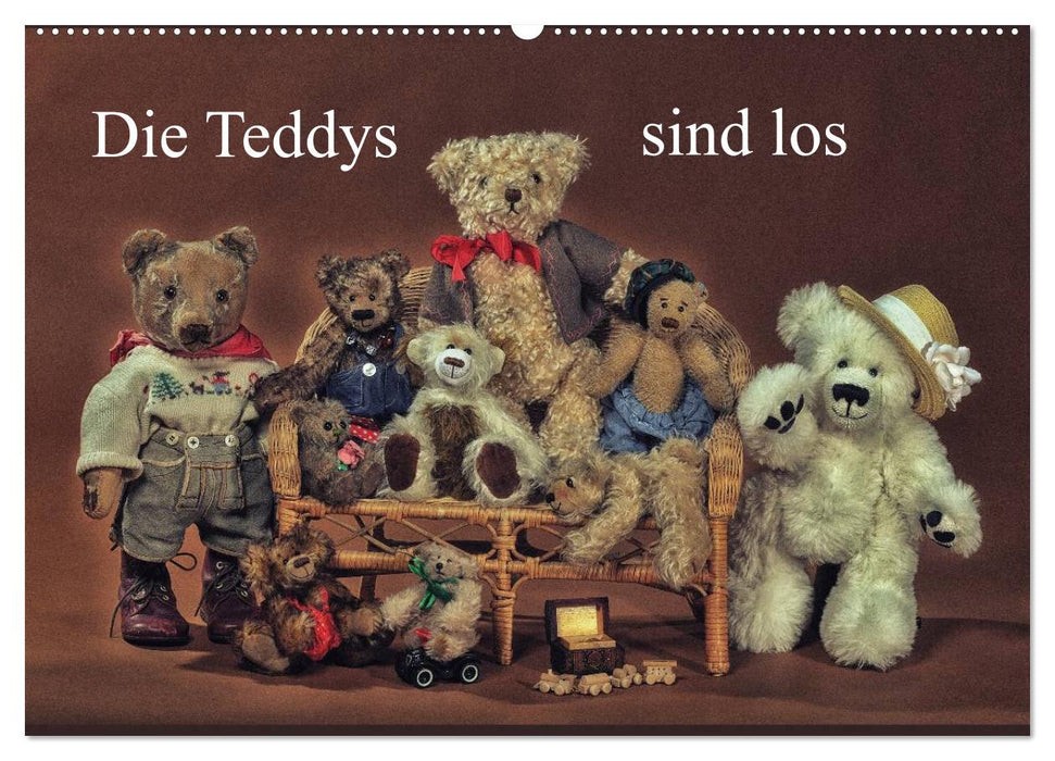 Die Teddys sind los (CALVENDO Wandkalender 2024)