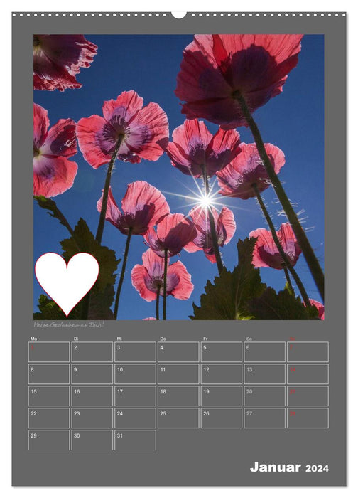 Declaration of love - Write your thoughts in my heart (CALVENDO Premium Wall Calendar 2024) 