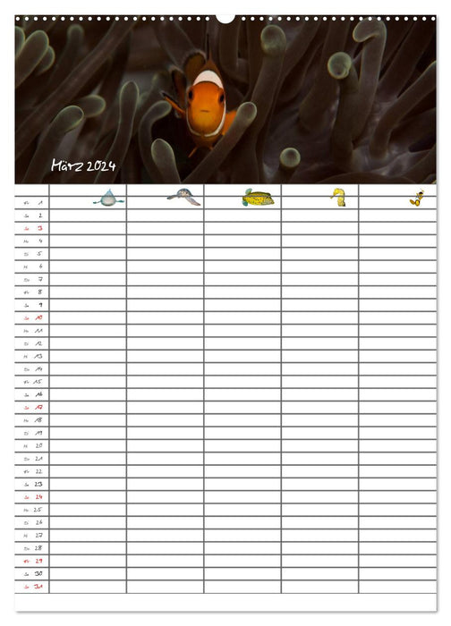 The underwater family planner 2024 (CALVENDO wall calendar 2024) 