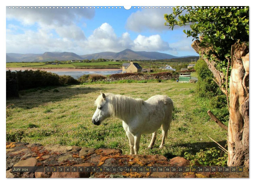 IRELAND dream destination in the Atlantic (CALVENDO wall calendar 2024) 