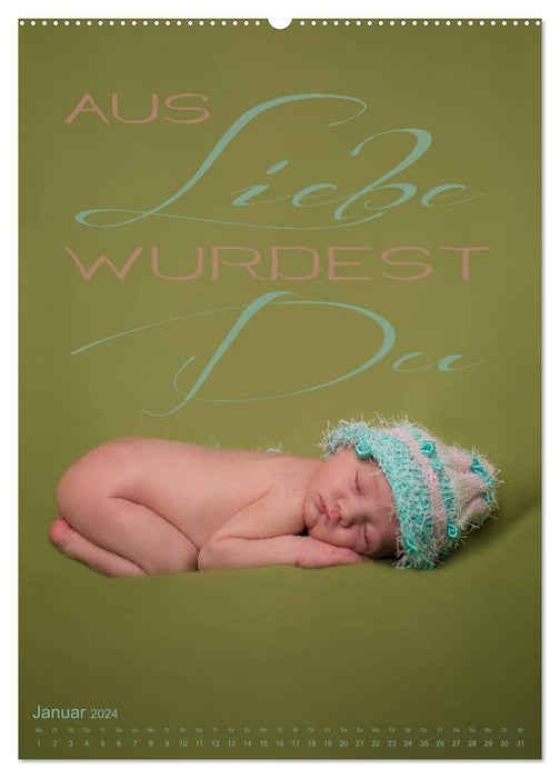 Babies - The Love of Life (CALVENDO Premium Wall Calendar 2024) 