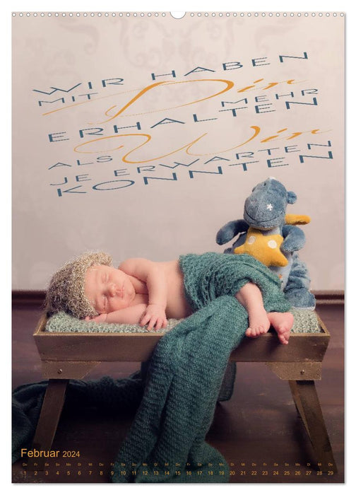 Babys - Die Liebe des Lebens (CALVENDO Premium Wandkalender 2024)