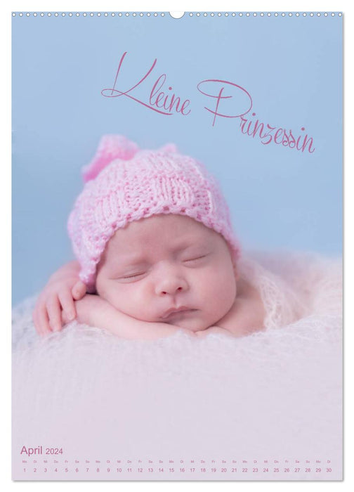 Babys - Die Liebe des Lebens (CALVENDO Premium Wandkalender 2024)