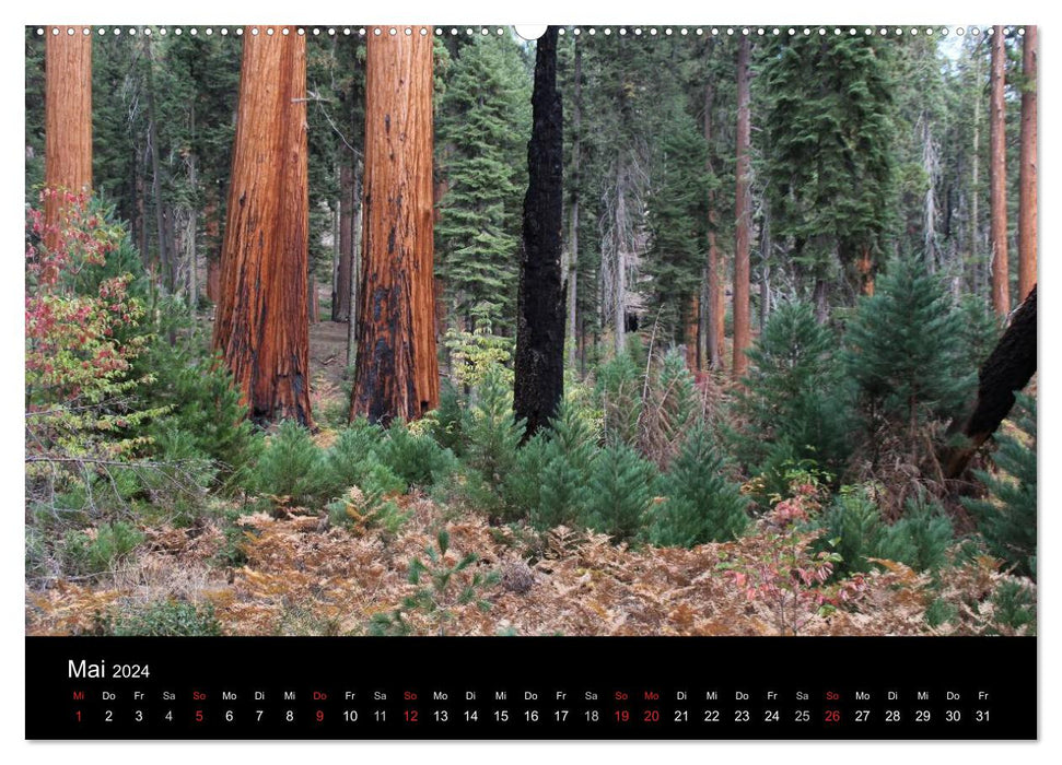 California 2024 (CALVENDO Premium Wall Calendar 2024) 