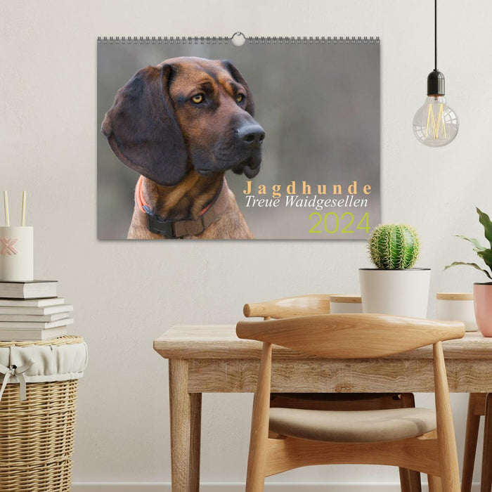 Hunting dogs - loyal hunting companions (CALVENDO wall calendar 2024) 