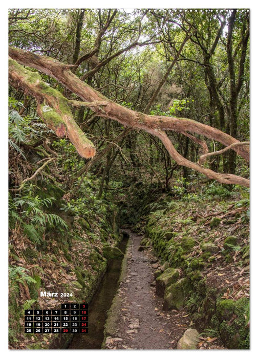 Levadas - Waterways on Madeira (CALVENDO Premium Wall Calendar 2024) 