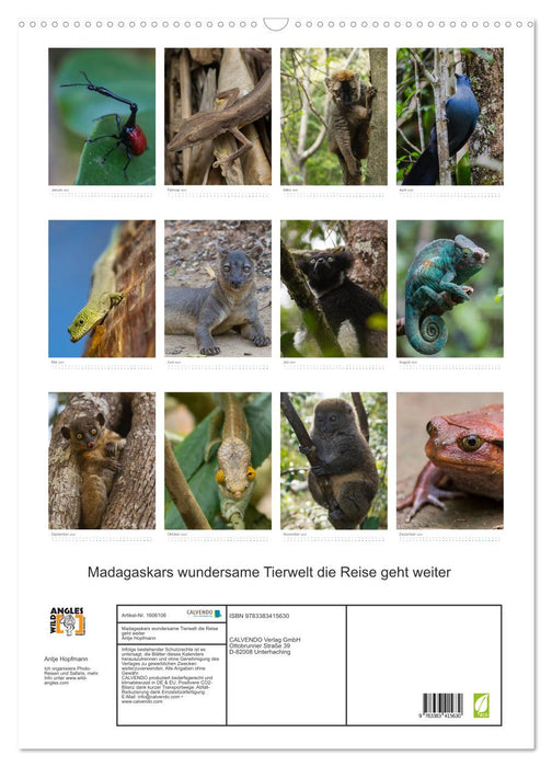 Madagaskars wundersame Tierwelt - die Reise geht weiter (CALVENDO Wandkalender 2024)