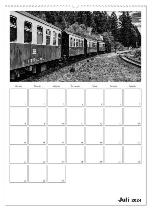 Under steam. Railway romance in the Harz (CALVENDO Premium Wall Calendar 2024) 